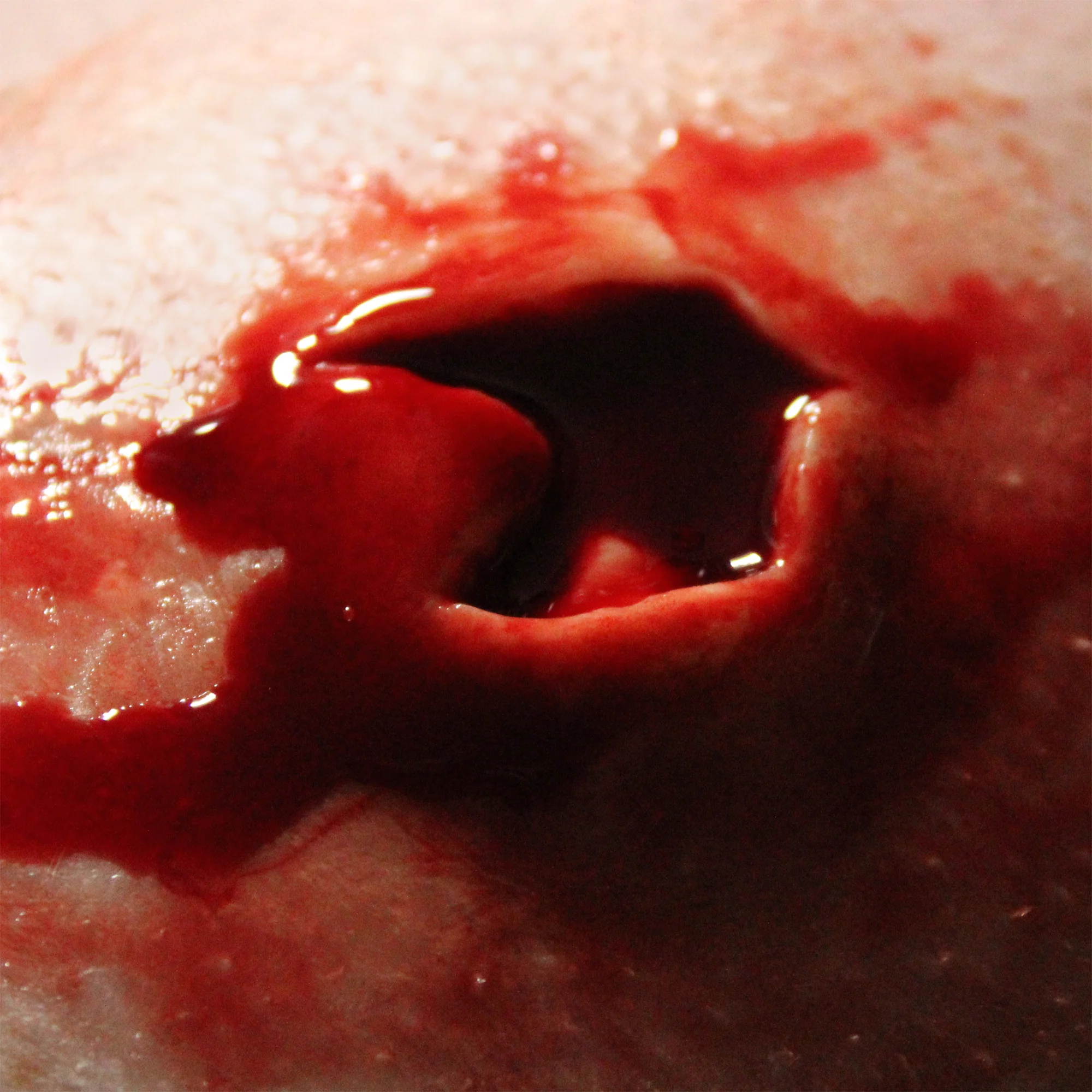 Jess FX Prosthetic Appliances - Exit Wound 1