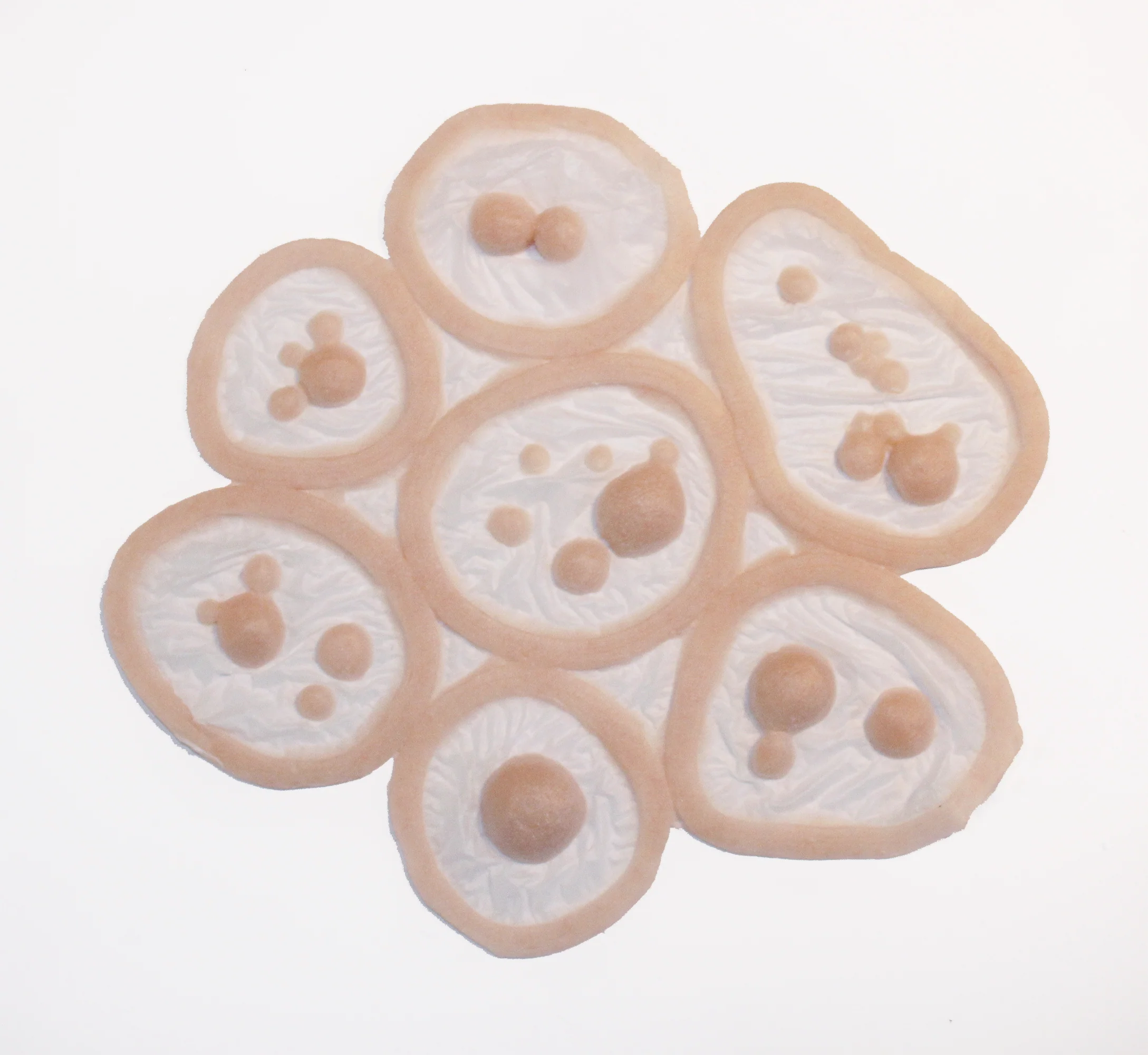 Jess FX Prosthetic Appliances - Small Boils Set - Image 2