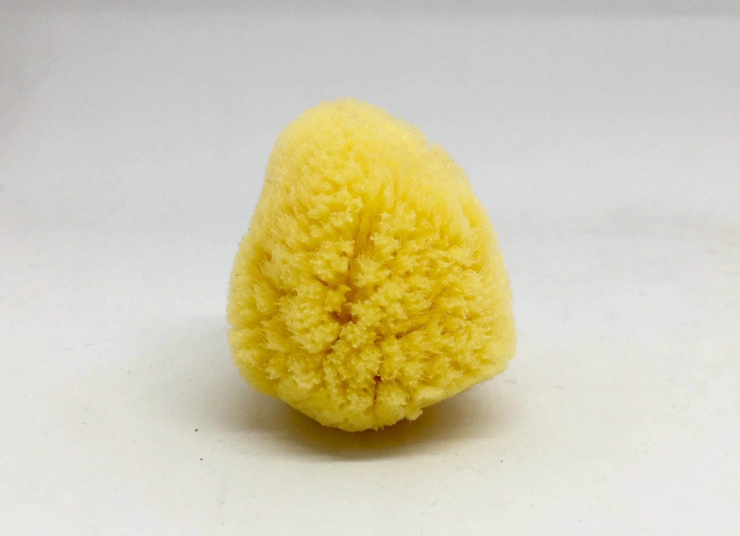 Natural Make Up Sponge