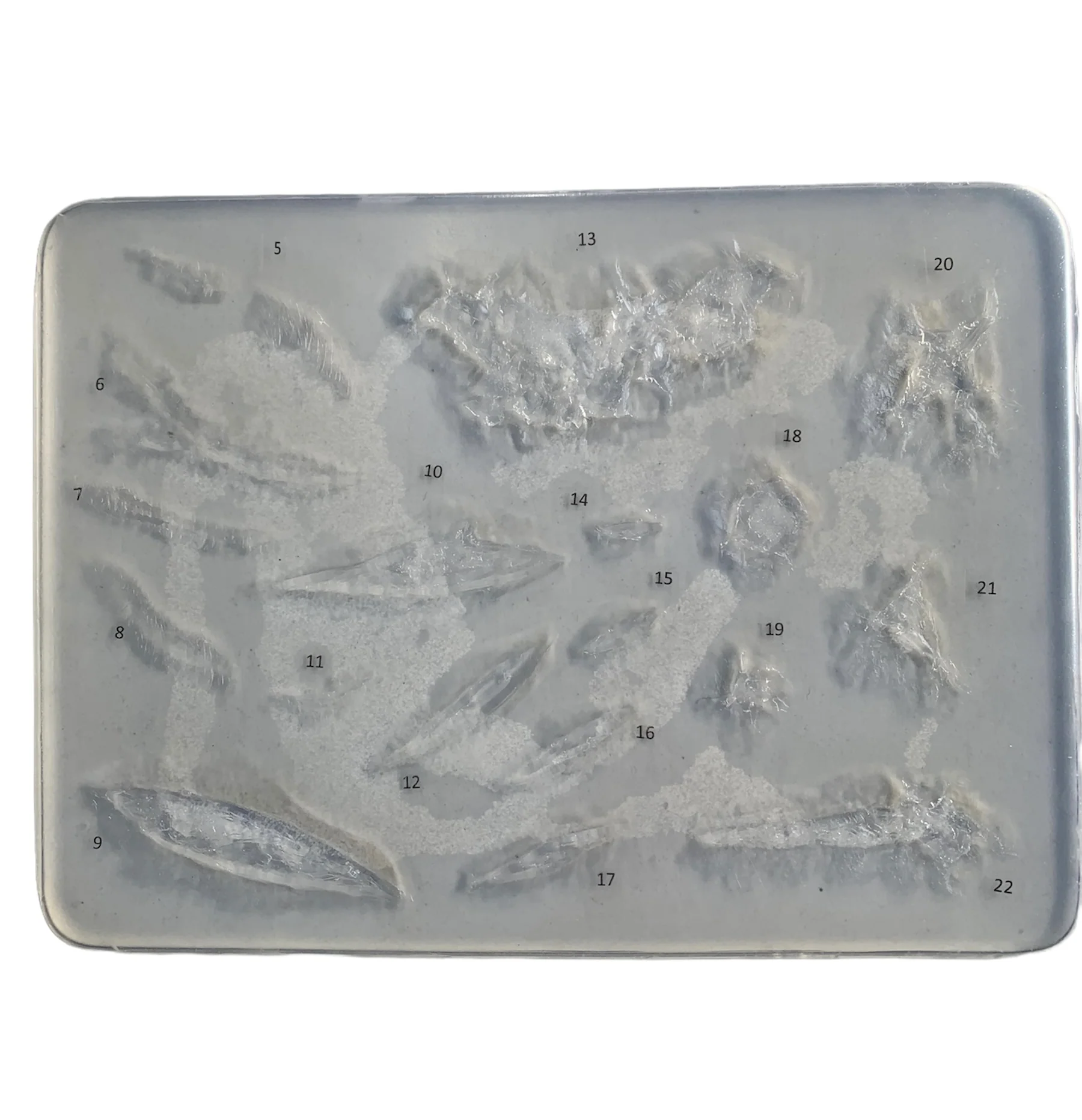 PAM Prosthetic Flat Mould - Large Sheet of Scars, Cuts & Wounds - Image 2