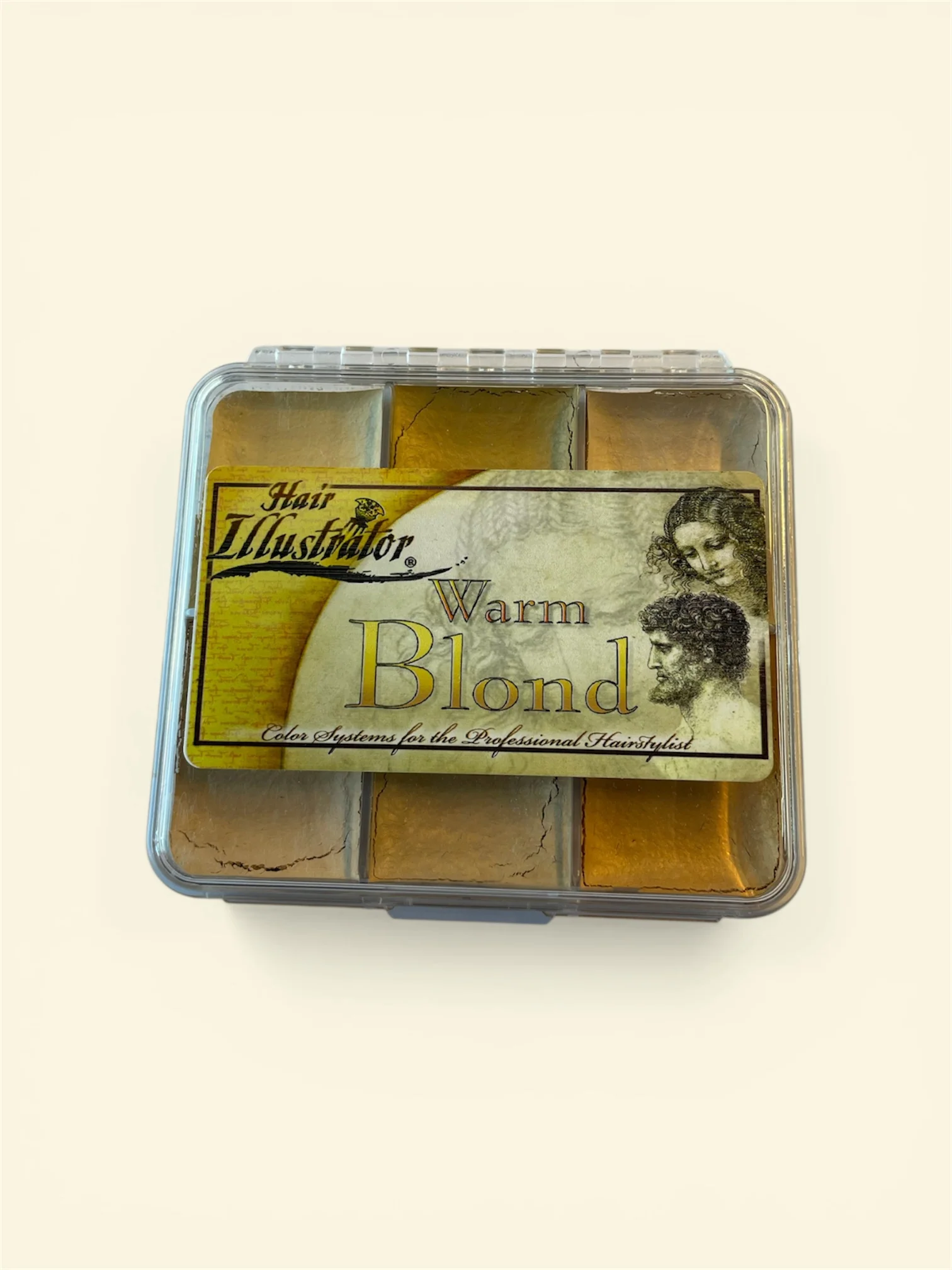 PPI HAIR ILLUSTRATOR WARM BLOND ON SET PALETTE