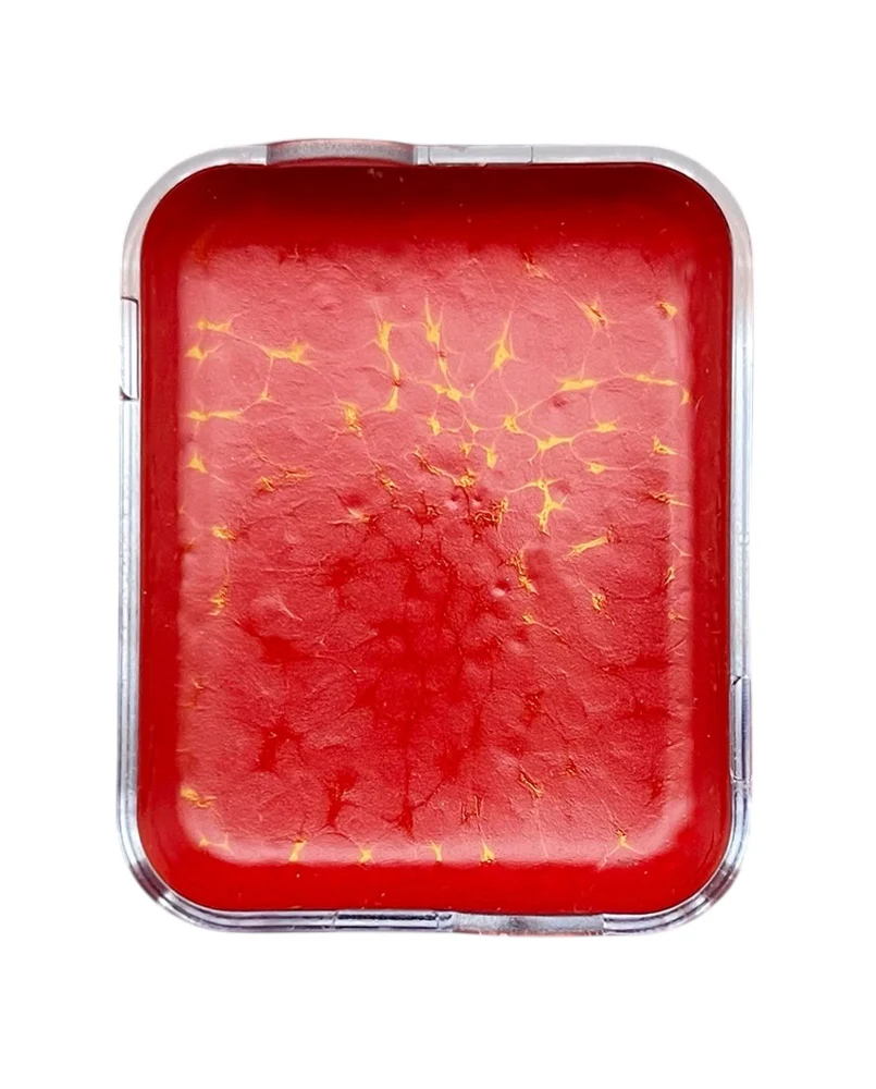 Skin Illustrator Replacement Cells - Fleshtone - Image 11