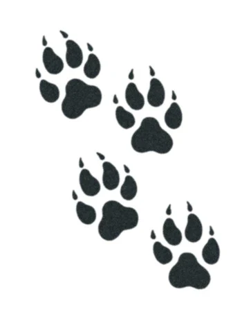 Wolf Paws Temporary Tattoo
